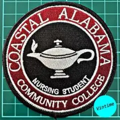 V698【Vintage Wappen】カレッジワッペン