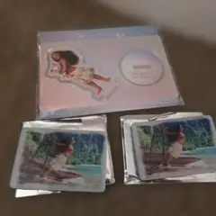 モアナ３点セットブラインドアクリルマグネット★アクスタ