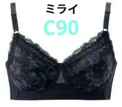 2026年最新】シャルレ ミライブラジャーの人気アイテム - メルカリ