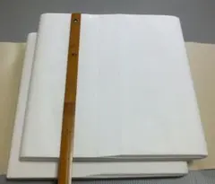 Item thumbnail for item c23171c3-6b38-4959-8ea1-9386c3bcdc7b