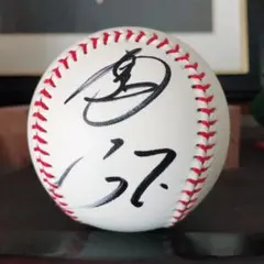 直筆サインボール 福岡ソフトバンクホークス 中村晃選手