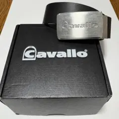 Item thumbnail for item 9ecc8901-7124-4c7a-9bbf-be909b4aec88