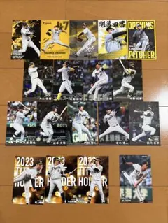 阪神　プロ野球チップスカード