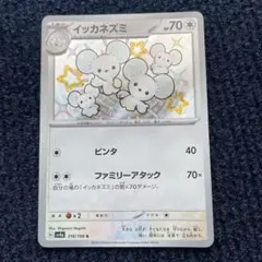 イッカネズミ