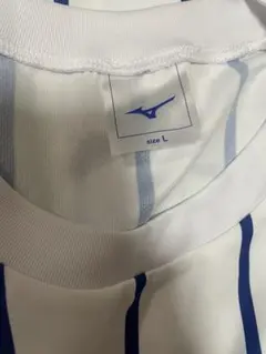 Item thumbnail for item 212cd760-ce40-471b-9a8e-b2110ba690d0