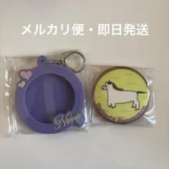 菅原咲月 缶バッジ 缶バッジホルダー 福袋 luckybag