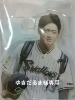 ゆきだるま様専用ページ