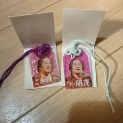 浜崎あゆみ アクリルお守り ピンク(えんむすび) 緑(健康) - メルカリ