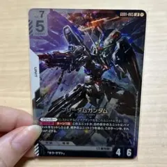 ニュータイプライジング　フリーダムガンダムLR おまけつき