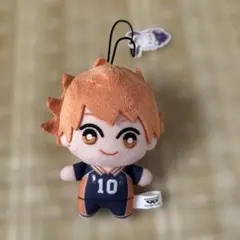 ハイキュー　日向翔陽　ぬいぐるみ