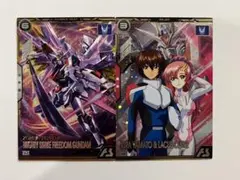 機動戦士ガンダム アーセナルベース マイティーストライクフリーダム、キラ＆ラクス
