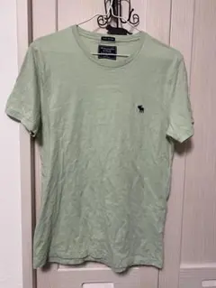 Abercrombie & Fitch 薄緑 Tシャツ XS
