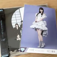 ノイミー盤セット　河口夏音