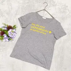 【マッキントッシュフィロソフィー】半袖Tシャツ グレー ロゴ 38 M 綿のサムネイル