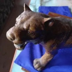 Item thumbnail for item 79363260-b372-4fd5-8e19-635c612a6445