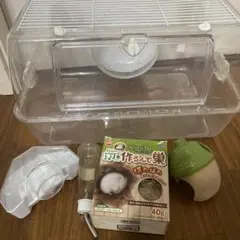 Item thumbnail for item 947ae7b4-2052-48e1-84ca-d94db1c9cb0e