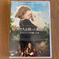 ✮ミルコ☆彡様 リクエスト 2点 まとめ商品