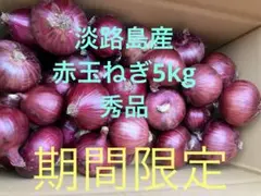 淡路島産　新赤玉ねぎ 5kg 秀品　期間限定のサムネイル