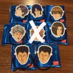 新テニスの王子様 新テニ テニプリ ヘアセット 缶バッジ 跡部景吾 跡部