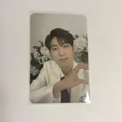 SEVENTEEN ウォヌ FML CARAT盤 封入 トレカ