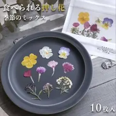 fuki様 リクエスト 2点 まとめ商品