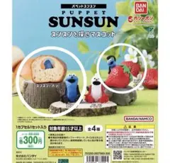 パペットスンスン　スンスンを探せマスコット　ガチャ　3点セット