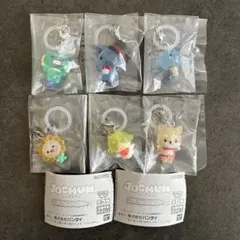 【匿名配送】JOCHUM めじるしアクセサリー 6種セット