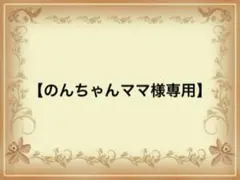 【のんちゃんママ様専用】