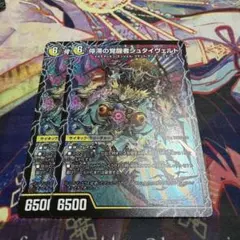 時空の停滞シュタイヴァル 停滞の覚醒者シュタイヴェルト　2枚