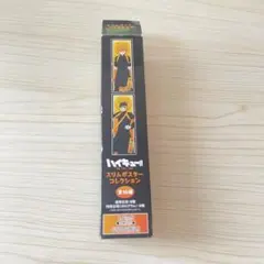 ハイキュー スリムポスター コレクション