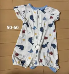 Item thumbnail for item ea525a08-5f3e-4dc4-840f-d2da48250494