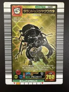 美品】タランドゥスツヤクワガタ 2004ファースト - メルカリ