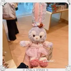 【最新☆正規品】ステラルー　冬　クリスマス　ぬいぐるみSSS　香港ディズニー