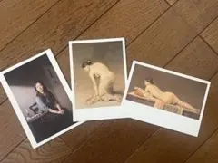 Item thumbnail for item 034a2e34-aa1f-4518-8bc7-d4af4fe89de1