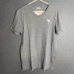 Abercrombie & Fitch アバクロ Tシャツ グレー 刺繍ロゴ Mのサムネイル