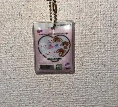 산리오 シュガーバニーズ ミニフレークシール チャーム