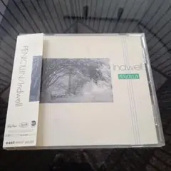 V系 PENICILLIN CD/Indwell