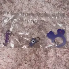 TWICE LOVELYS アクリルカラビナフロッキーマスコット　サブリーサナ