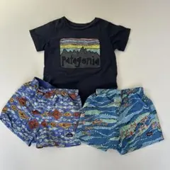 パタゴニア　まとめ　４T　バギーズ　Tシャツ　セット