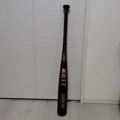 Item thumbnail for item e4b23b33-c849-4cd6-97d3-0fc0dcfba9c4