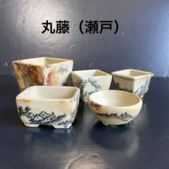 2025年最新】丸藤盆栽鉢の人気アイテム - メルカリ