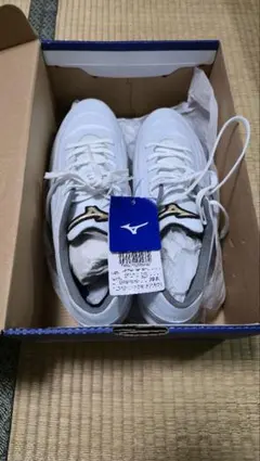 MIZUNO GE TRIBE QS 11GM191501 28.0cm - メルカリ