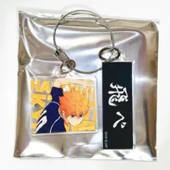 トレーディングアクリル2連キーホルダー　日向翔陽