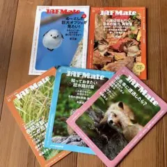 Item thumbnail for item 87269407-45da-477d-a4a9-21abc7ea7323