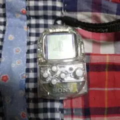 ポケットステーション