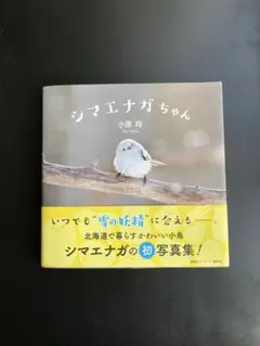 Item thumbnail for item e901cc93-65d4-4409-802f-c19391b5e281