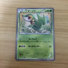 ツタージャ ポケモンカード HP50 シャイニーコレクション