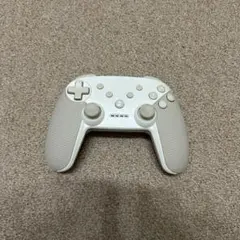Nintendo Switch コントローラー
