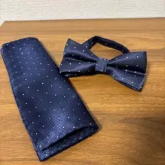 新郎 結婚式 紺色 蝶ネクタイとチーフ
