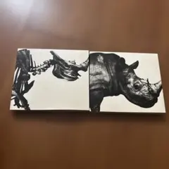 Mr.Children ベストアルバム2枚セット 肉 骨 - メルカリ